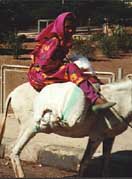 ����� �� ����