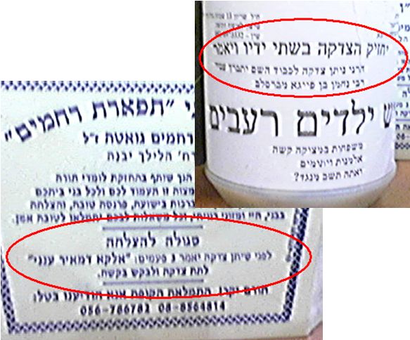 ���� ���� �����