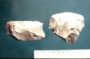 ����� ����