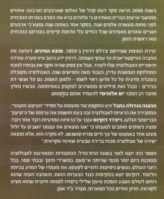 
����� ������ ���� 2