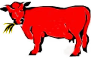 ��� �����