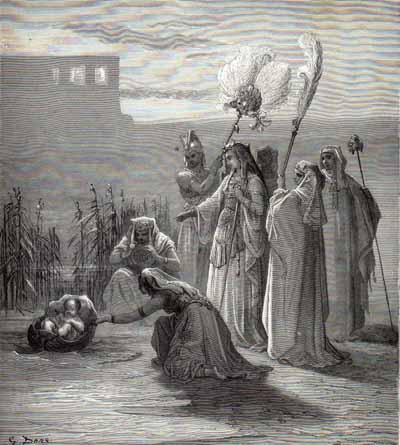 ��� - ����