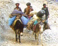 ���� ����� �� �����